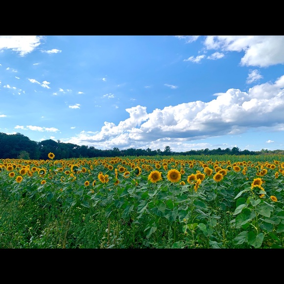 Meet your Posher, Mari - Picture 12 of 16